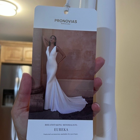 👰🏻♀️ Pronovia Wedding Gown Eureka - Ivory - Size 14 🤍 - Picture 6 of 6